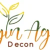 Begin Again Decon