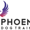 best dog trainers in...