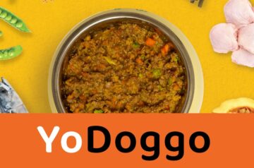 YoDoggo Pte Ltd